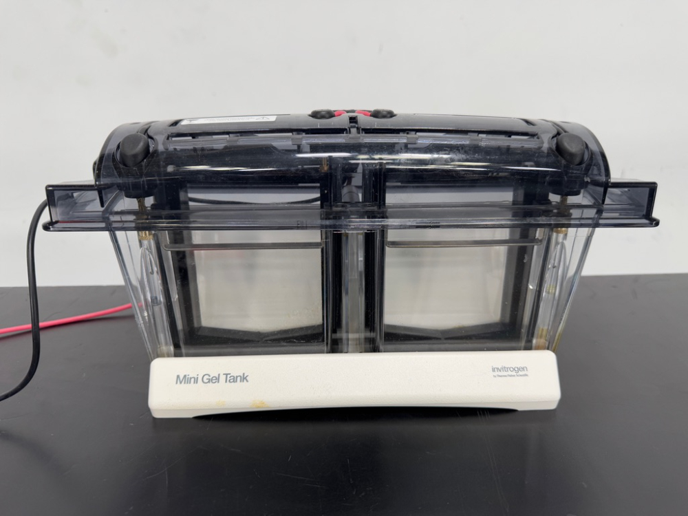 Image of Invitrogen Mini Gel Tank
